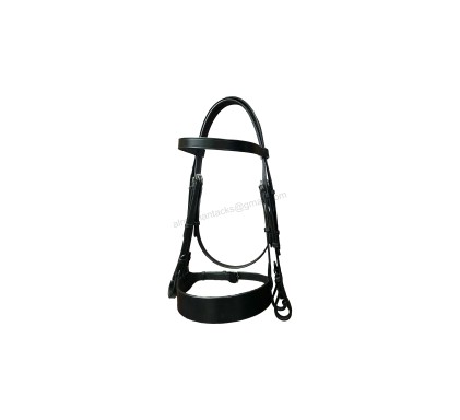 Leather Bridle 